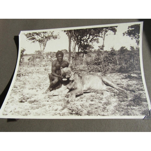 1429 - Album of Edwardian Safari Photographs Black and White Some Large Format Including Elephants Leopards... 