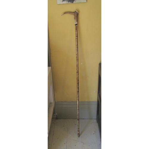 Horn Handle Staff