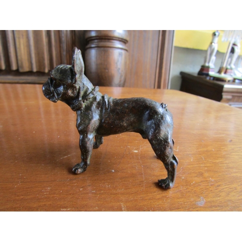 914 - Austrian Bronze Figure French Bulldog Approximately 6cm Wide