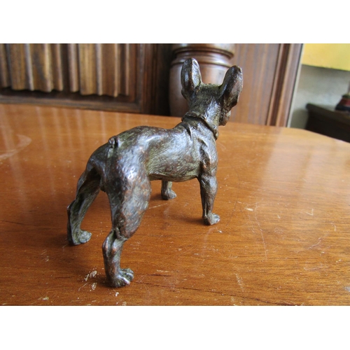 914 - Austrian Bronze Figure French Bulldog Approximately 6cm Wide