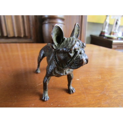 914 - Austrian Bronze Figure French Bulldog Approximately 6cm Wide