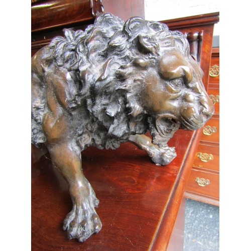 970 - Bronze Sculpture of Lion Approximately 21 Inches Wide