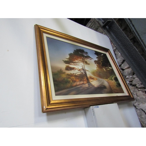 998 - Large Gilt Framed Photograph Evening Sunset with Tree Gilt Framed Approximately 3ft Wide x 2ft High