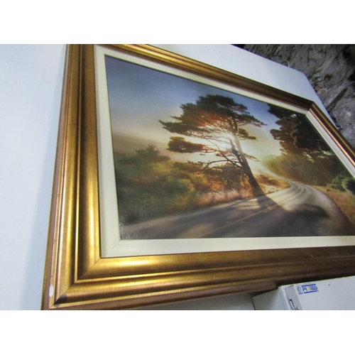 998 - Large Gilt Framed Photograph Evening Sunset with Tree Gilt Framed Approximately 3ft Wide x 2ft High