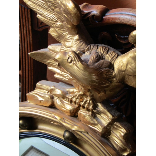 2062 - Gilded Convex Mirror with Upper Eagle Surmount Approximately 20 Inches High x 16 Inches Wide