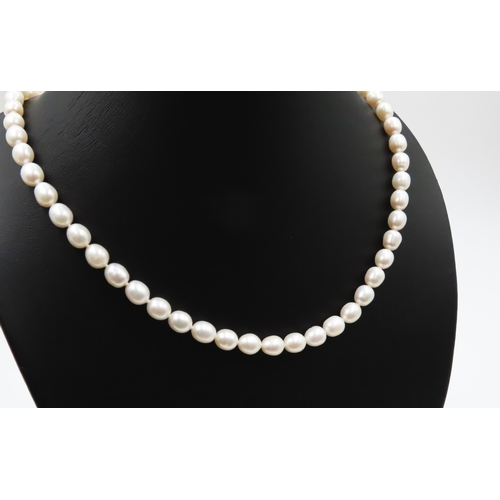 189 - Ladies Pearl Necklace with 9 Carat Yellow Gold Clasp 44cm Long