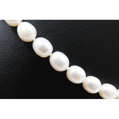 189 - Ladies Pearl Necklace with 9 Carat Yellow Gold Clasp 44cm Long