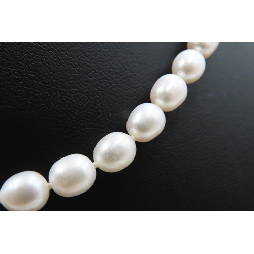 189 - Ladies Pearl Necklace with 9 Carat Yellow Gold Clasp 44cm Long