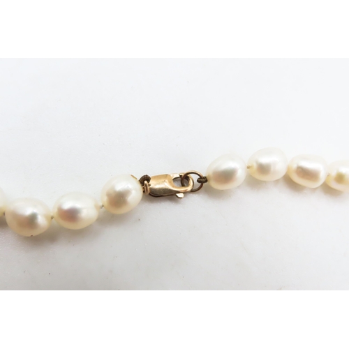 189 - Ladies Pearl Necklace with 9 Carat Yellow Gold Clasp 44cm Long