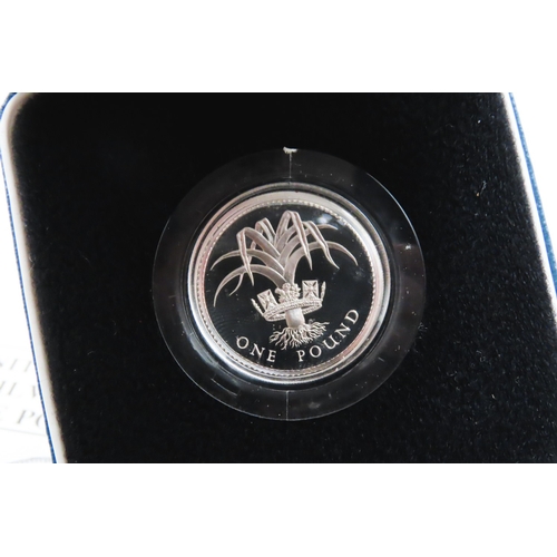 208 - Two Silver Proof One Pound Coins National Emblem of Wales 'The Leek' on Reverse 1990 Encapsulated wi... 