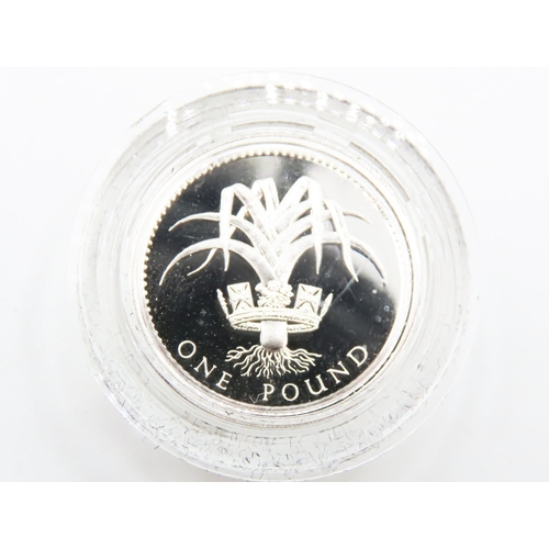 208 - Two Silver Proof One Pound Coins National Emblem of Wales 'The Leek' on Reverse 1990 Encapsulated wi... 