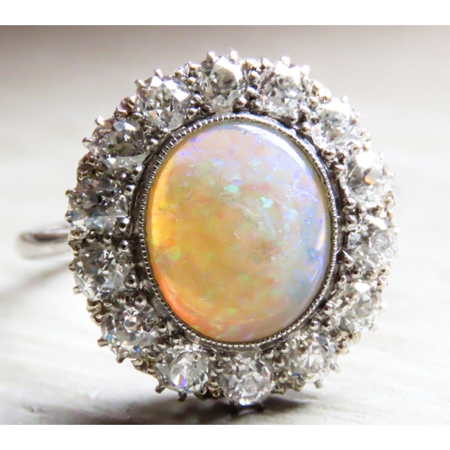 259 - Opal Centre Stone Ring with Fourteen Diamond Set Halo Surround Mounted in Platinum Ring Size P