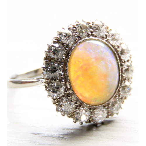 259 - Opal Centre Stone Ring with Fourteen Diamond Set Halo Surround Mounted in Platinum Ring Size P