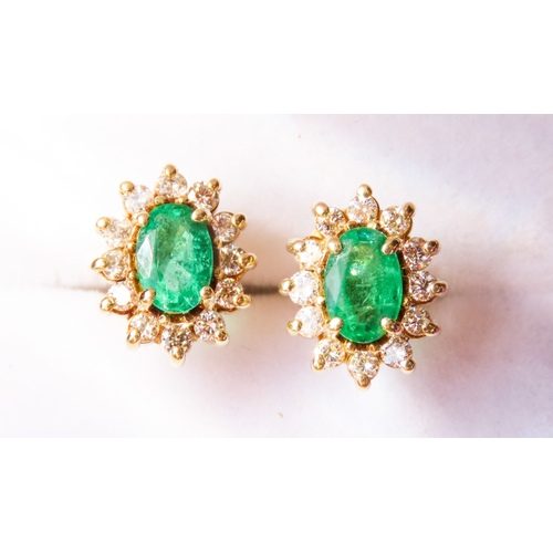 301 - Columbian Emerald AAA+ and Diamond Set Ladies Cluster Earrings Mounted in 14 Carat Yellow Gold 1cm H... 