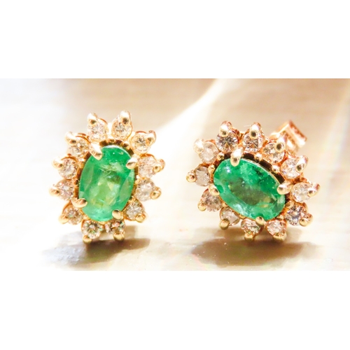 301 - Columbian Emerald AAA+ and Diamond Set Ladies Cluster Earrings Mounted in 14 Carat Yellow Gold 1cm H... 