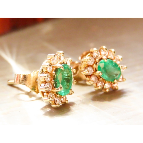 301 - Columbian Emerald AAA+ and Diamond Set Ladies Cluster Earrings Mounted in 14 Carat Yellow Gold 1cm H... 