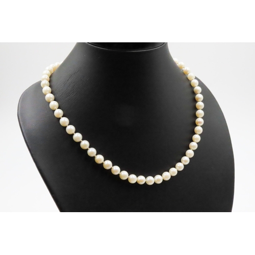 401 - Ladies Pearl Necklace 38cm Long with 14 Carat White Gold Clasp