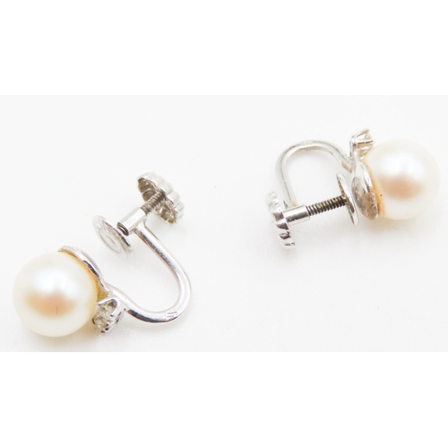 402 - Pair of Pearl Set Ladies Earrings Mounted in 14 Carat White Gold