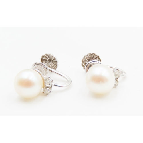 402 - Pair of Pearl Set Ladies Earrings Mounted in 14 Carat White Gold