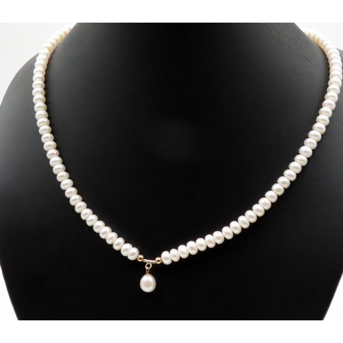 477 - Ladies Pearl Necklace with 14 Carat Yellow Gold Clasp and Pendant Setting 44cm Long