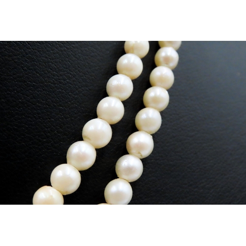 503 - Ladies Two Strand Pearl Necklace with 9 Carat White Gold Clasp Shortest Strand 42cm Long