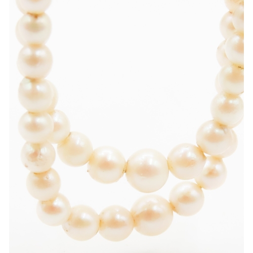 503 - Ladies Two Strand Pearl Necklace with 9 Carat White Gold Clasp Shortest Strand 42cm Long