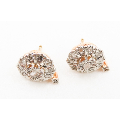 507 - Pair of Ladies Diamond Cluster Earrings Set in Platinum Mounted on 18 Carat White Gold Each 1.5cm Hi... 