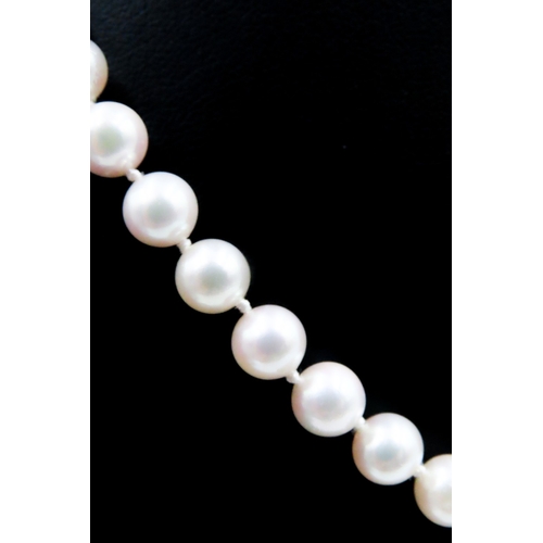 549 - Ladies Pearl Necklace with 14 Carat Yellow and White Gold Clasp 46cm Long