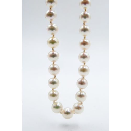 549 - Ladies Pearl Necklace with 14 Carat Yellow and White Gold Clasp 46cm Long