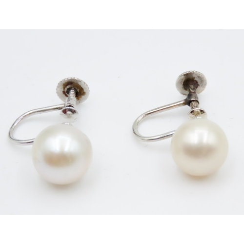 702 - Pair of Pearl Set Ladies Screw Earrings Mounted in 9 Carat White Gold