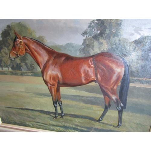 1009 - Joan Sleigh Equine Portrait Chestnut Horse Chestnut Stallion Trees Beyond Oil on Board Approximately... 