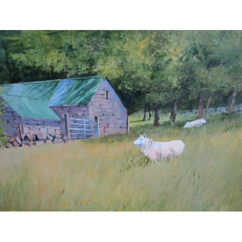 1019 - J McNulty Irish School Farmstead with Sheep Trees Beyond Oil on Canvas Contained Within a Gilded Fra... 