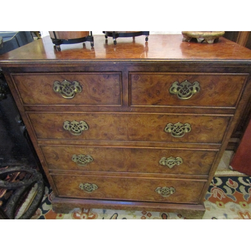 1030 - Burr Walnut Bachelors Chest Two Short Three Long Drawers Finely Detailed Throughout Resting on Origi... 