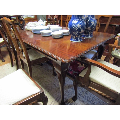 1302 - Mahogany Chippendale Dining Room Table Rectangular Form Gadrooned Edged Decoration Above Claw and Ba... 