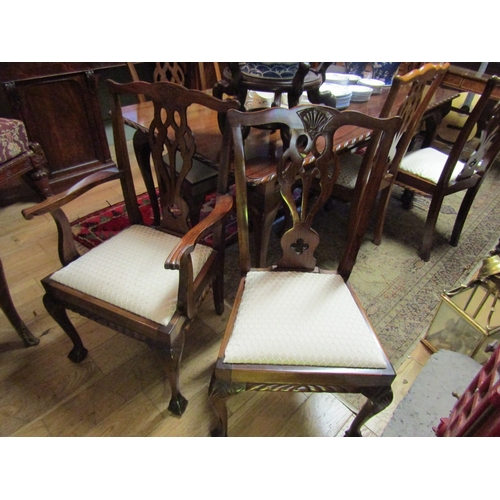 1303 - Set of Eight Matching Chippendale Mahogany Armchairs Including Two Carvers Claw and Ball Supports