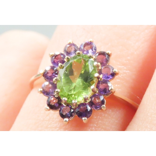 139 - Peridot and Amethyst Set Cluster Ring Mounted in 9 Carat Yellow Gold Ring Size N and a Half As New U... 