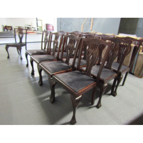 1493 - Set of Twelve Irish Chippendale Mahogany Dinning Chairs Upholstered Seats Above Claw and Ball Suppor... 