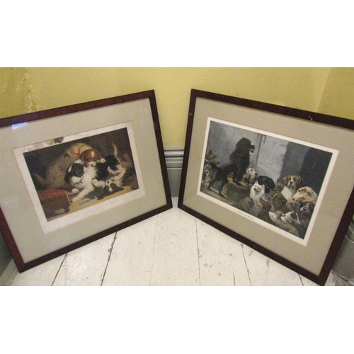 Two Humorous Canine French Coloured Prints Framed Largest Approximately 18 Inches Wide x 14 Inches High