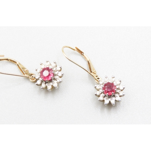 347 - Pair of 1950's Ruby and Diamond Set Ladies Daisy Form Cluster Earrings Set in 18 Carat Yellow Gold 1... 