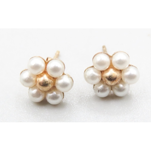 394 - Pair of 9 Carat Yellow Gold Pearl Set Daisy Form Earrings 1cm High As New Unworn Jewellery Shop Disp... 