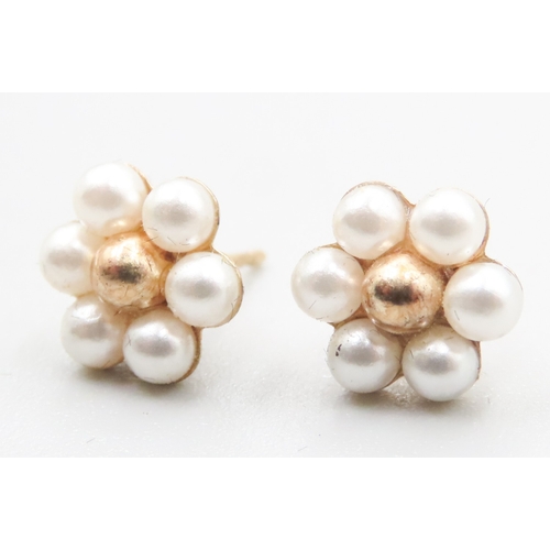 394 - Pair of 9 Carat Yellow Gold Pearl Set Daisy Form Earrings 1cm High As New Unworn Jewellery Shop Disp... 