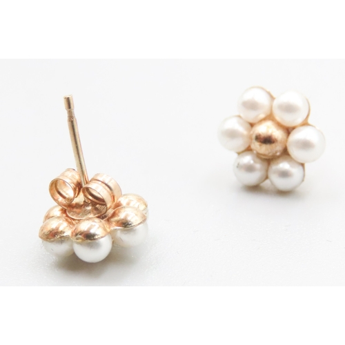 394 - Pair of 9 Carat Yellow Gold Pearl Set Daisy Form Earrings 1cm High As New Unworn Jewellery Shop Disp... 