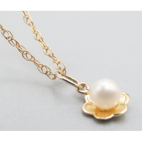 403 - Pearl Set Daisy Form 9 Carat Yellow Gold Pendant Set on 9 Carat Yellow Gold Chain 46cm Long As New U... 