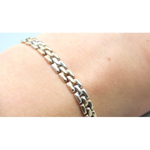 47 - 9 Carat Yellow and White Gold Panther Link Bracelet 18.5cm Long