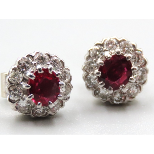 502 - Pair of 18 Carat White Gold Ruby and Diamond Cluster Set Earrings Ruby Total Carat Weight 1.5ct Diam... 