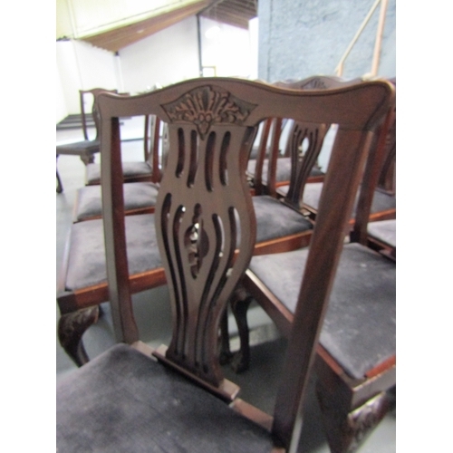 1493 - Set of Twelve Irish Chippendale Mahogany Dinning Chairs Upholstered Seats Above Claw and Ball Suppor... 