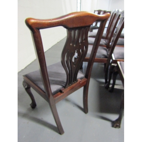 1493 - Set of Twelve Irish Chippendale Mahogany Dinning Chairs Upholstered Seats Above Claw and Ball Suppor... 