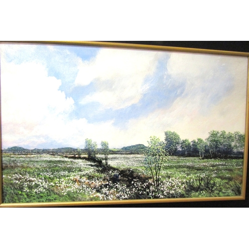 1545 - Bernard Reynolds Bog Cotton on Ross Bog Oil on Board Approximately 22 Inches Wide x 12 Inches High S... 