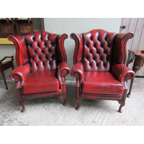 1556 - Pair of Burgundy Leather Deep Buttoned Upholstered Wing Back Armchairs Mahogany Cabriole Supports Br... 