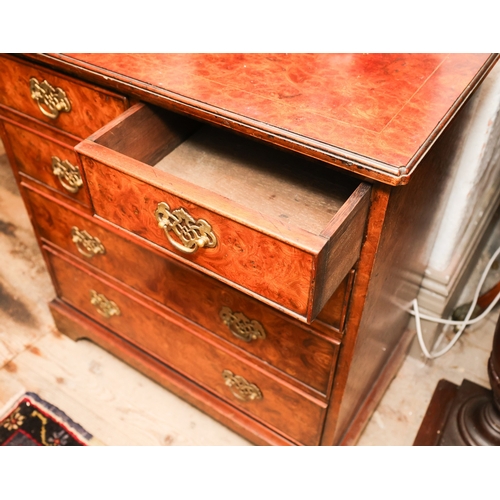 1599 - Burr Walnut Bachelors Chest of Two Short and Three Long Drawers Above Bracket Supports Finely Figure... 